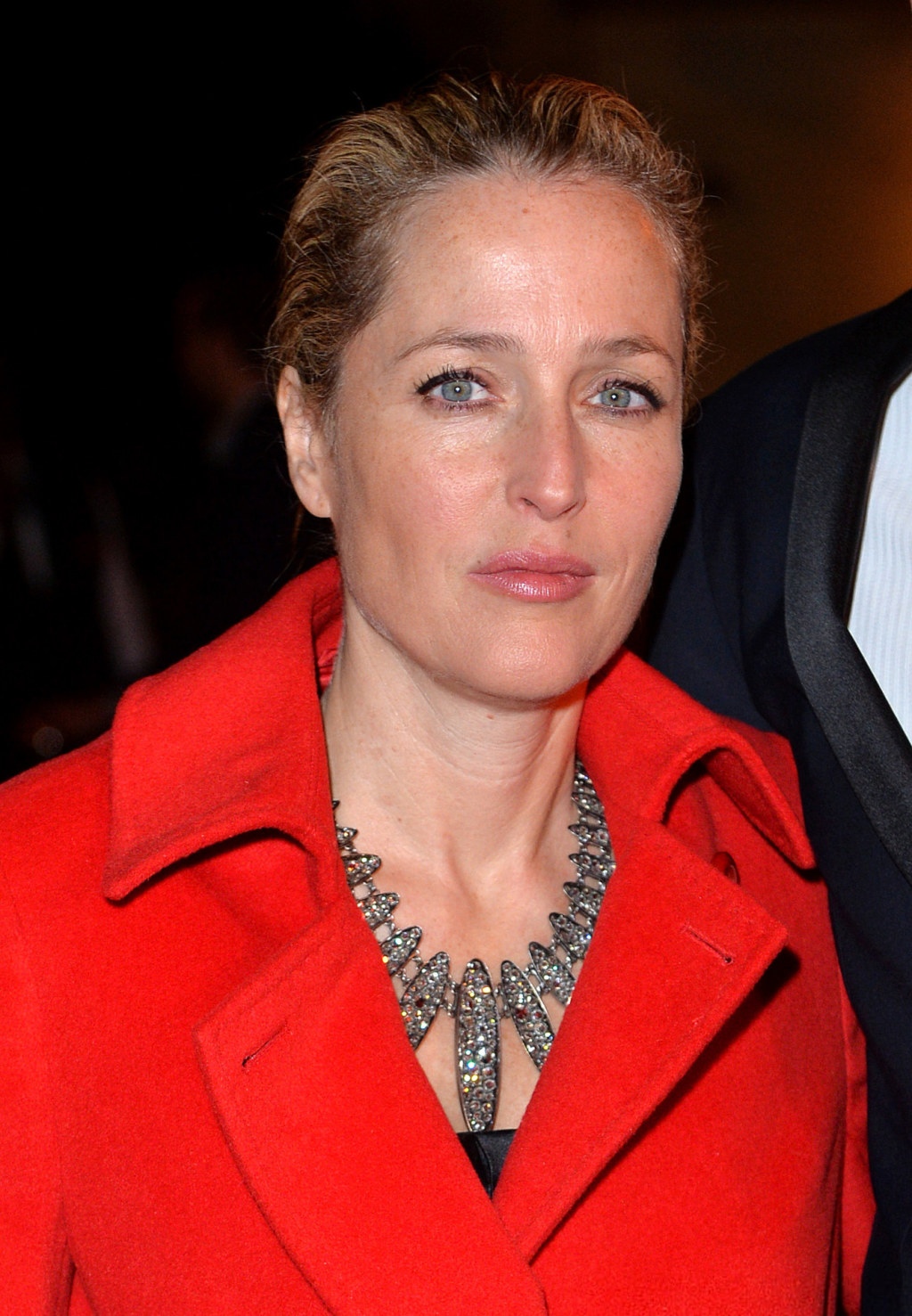 Gillian Anderson 796